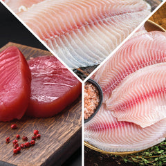 Atún-Mojarra-Tilapia