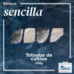 Totoaba de cultivo