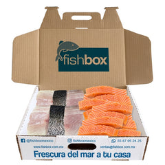 Totoaba de cultivo- Salmón