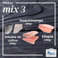Totoaba de cultivo-Huachinango-Tilapia
