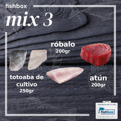 Totoaba de cultivo-Robalo-Atún