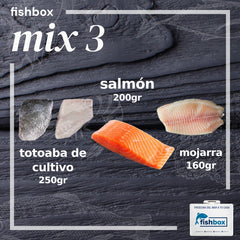 Totoaba de cultivo-Salmón-Mojarra