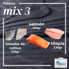 Totoaba de cultivo-Salmón-Tilapia