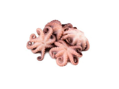 Pulpo baby 1kg