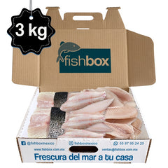 Totoaba de cultivo-Huachinango-Mojarra