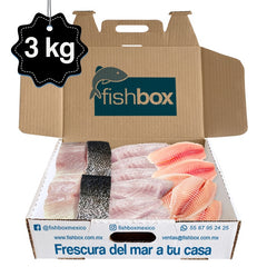 Totoaba de cultivo-Robalo-Tilapia