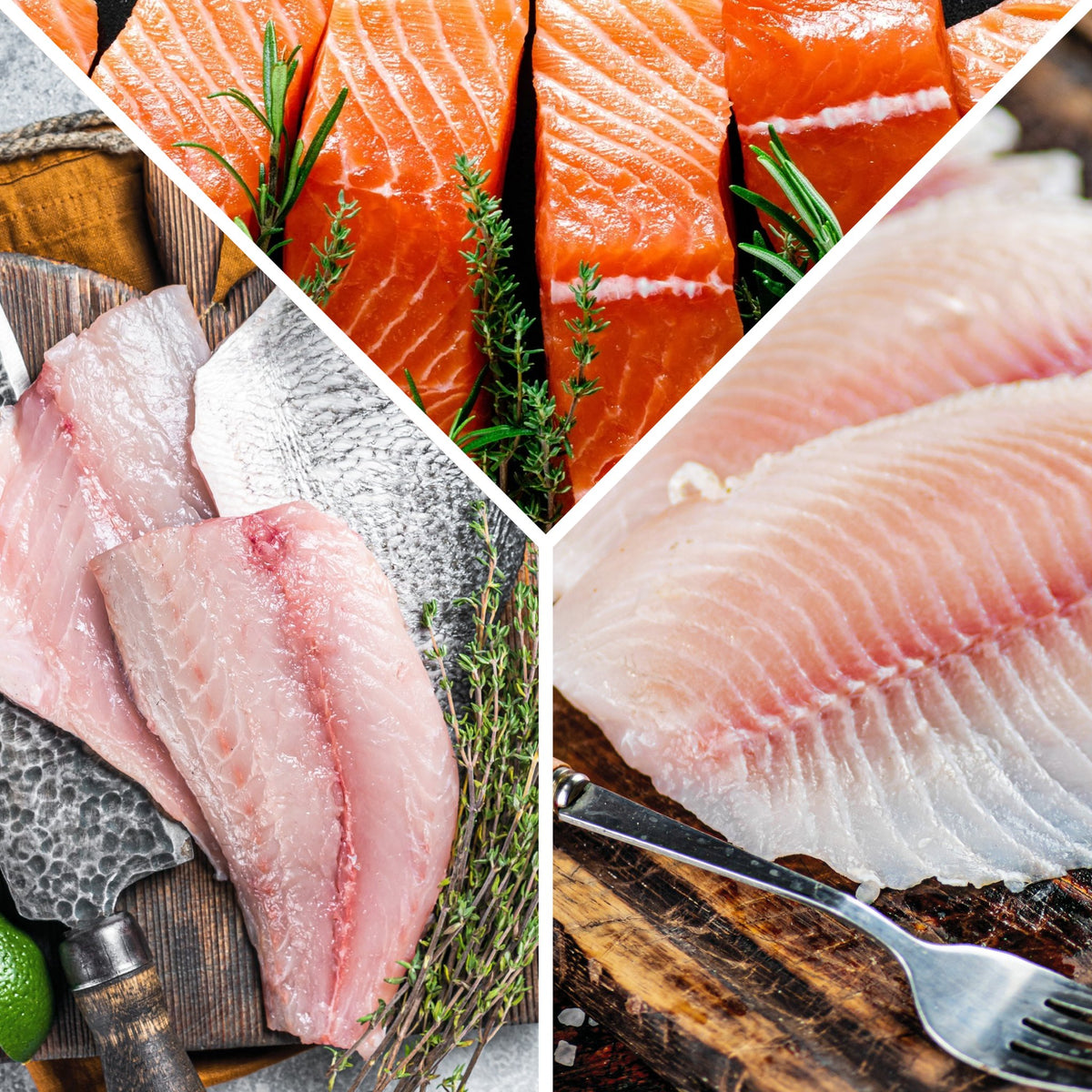 Robalo-Salmón-Mojarra