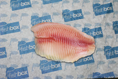 Tilapia