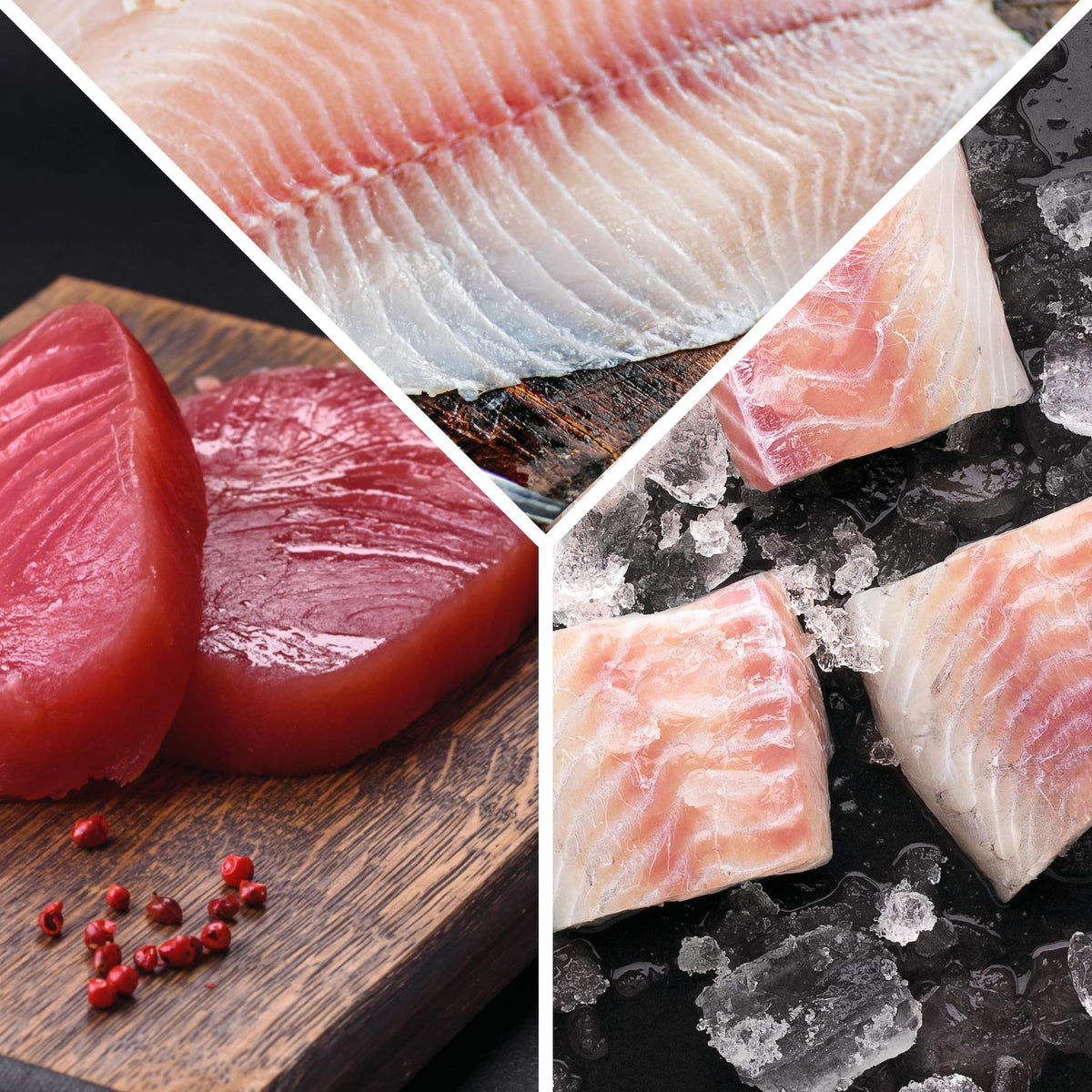 Atún-Mojarra-Mahi Mahi