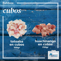 Cubos Totoaba - Huachinango