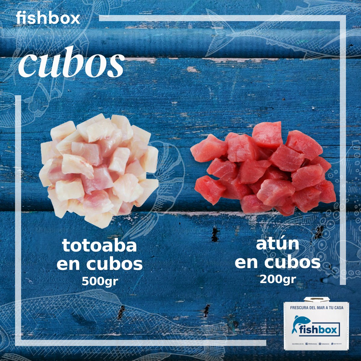 Cubos Totoaba - Atún