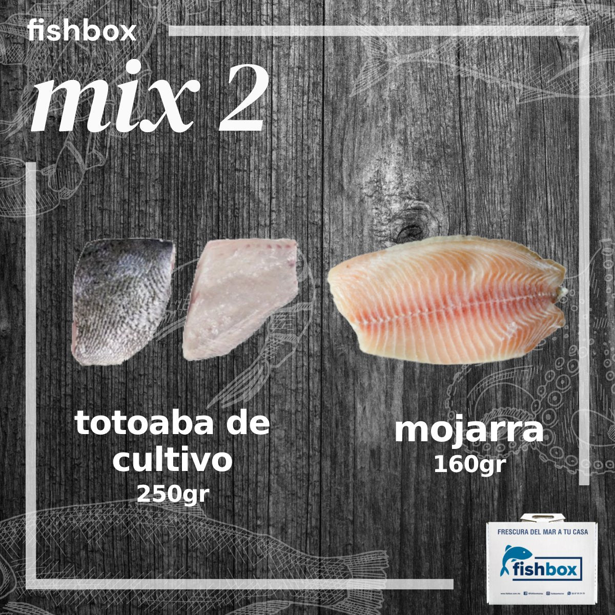 Totoaba de cultivo-Mojarra