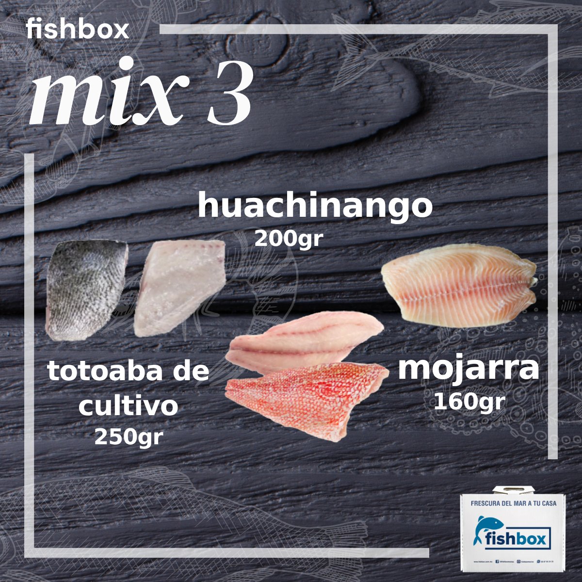 Totoaba de cultivo-Huachinango-Mojarra