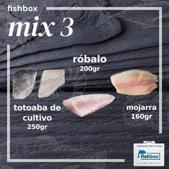 Totoaba de cultivo-Robalo-Mojarra