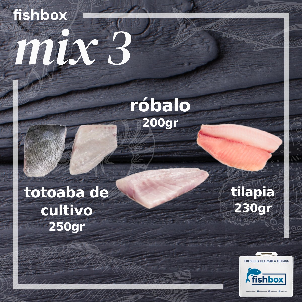 Totoaba de cultivo-Robalo-Tilapia