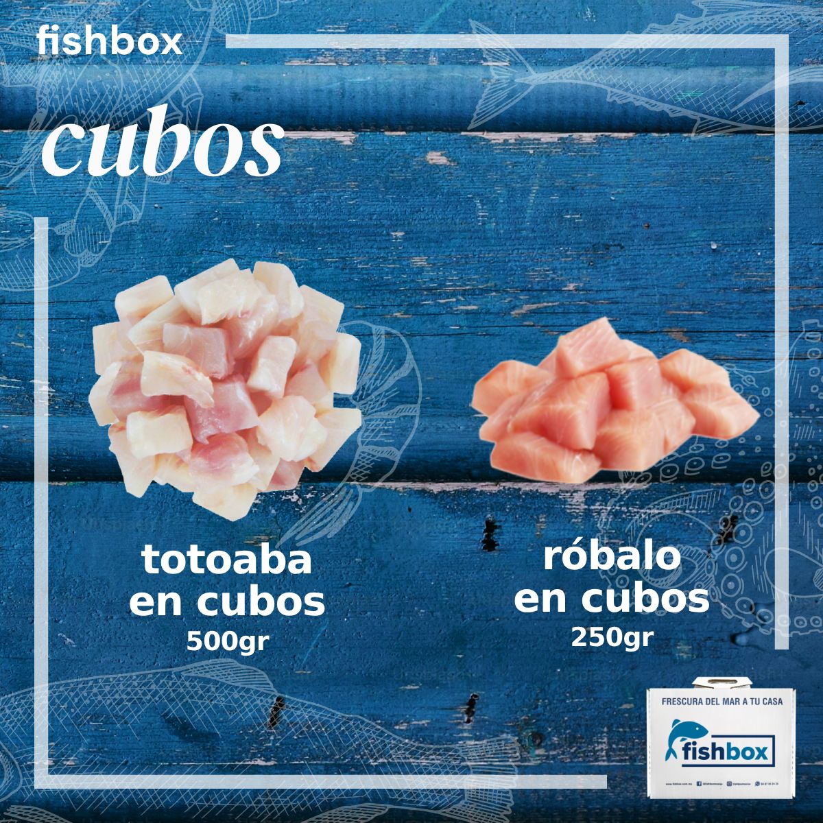 Cubos Totoaba - Robalo