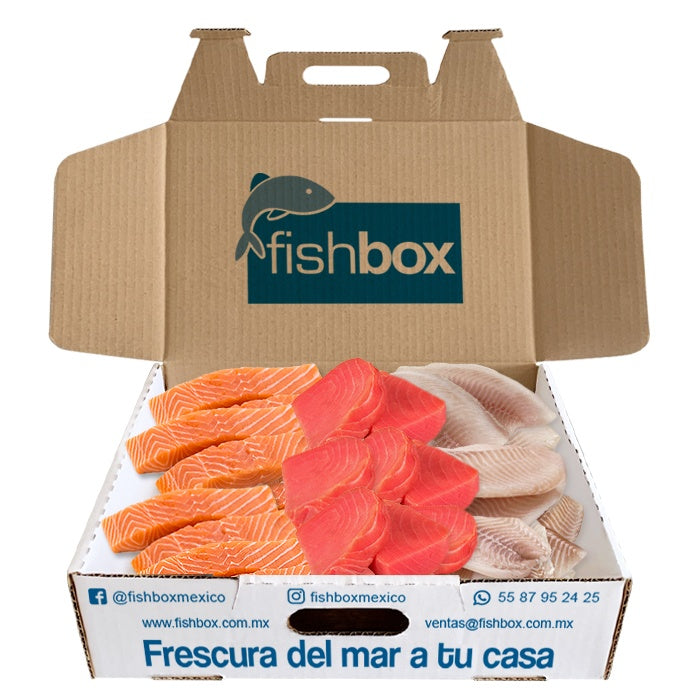 Arma tu FishBox