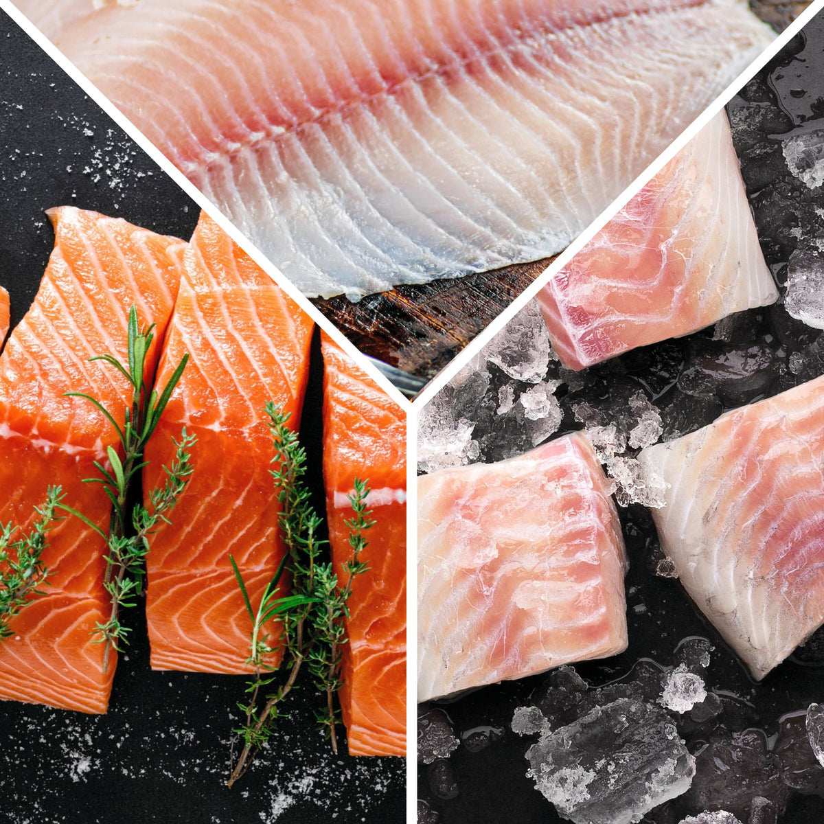 Salmón-Mojarra-Mahi Mahi