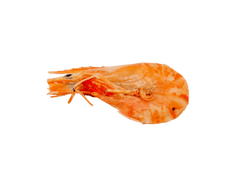 Camarón seco CHICO con cabeza 1kg